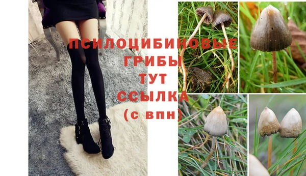 альфа пвп Пестово