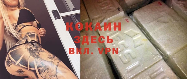 гидра Галич