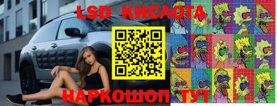крисы Заводоуковск