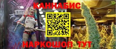 крисы Заводоуковск