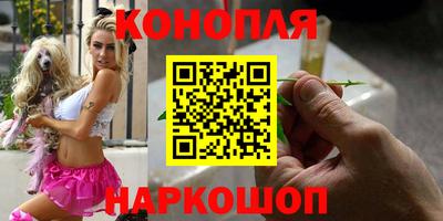 крисы Заводоуковск