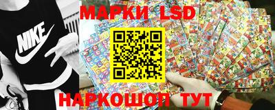 крисы Заводоуковск