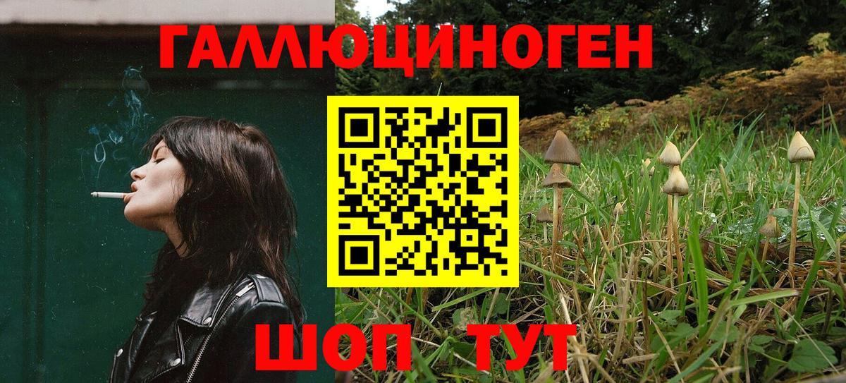 Нальчик  Галлюциногенные грибы ЛСД  Вход с VPN 