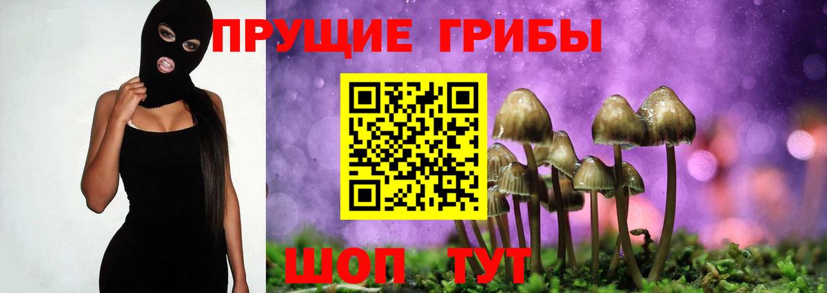 Галлюциногенные грибы GOLDEN TEACHER Нальчик