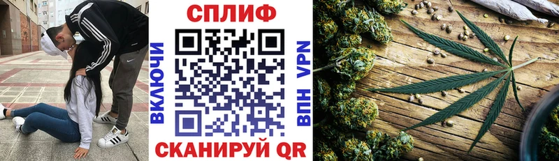 Конопля конопля  купить  сайты  Нальчик 